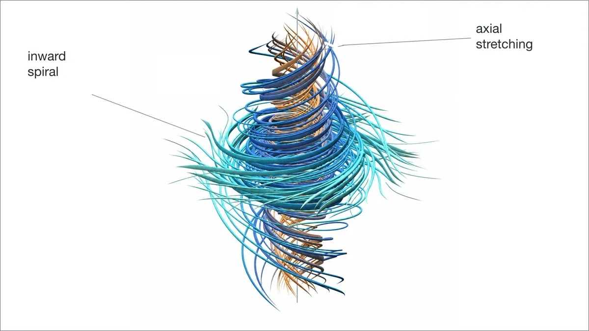 Des filaments qui s'enroulent vers l'intérieur et s'étirent vers le haut